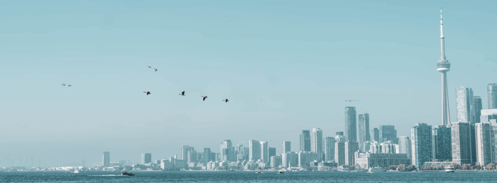 Skyline of Toronto as seen from the waterfront at the Toronto Islands, a flock of birds in the sky, CN tower to the right,.
